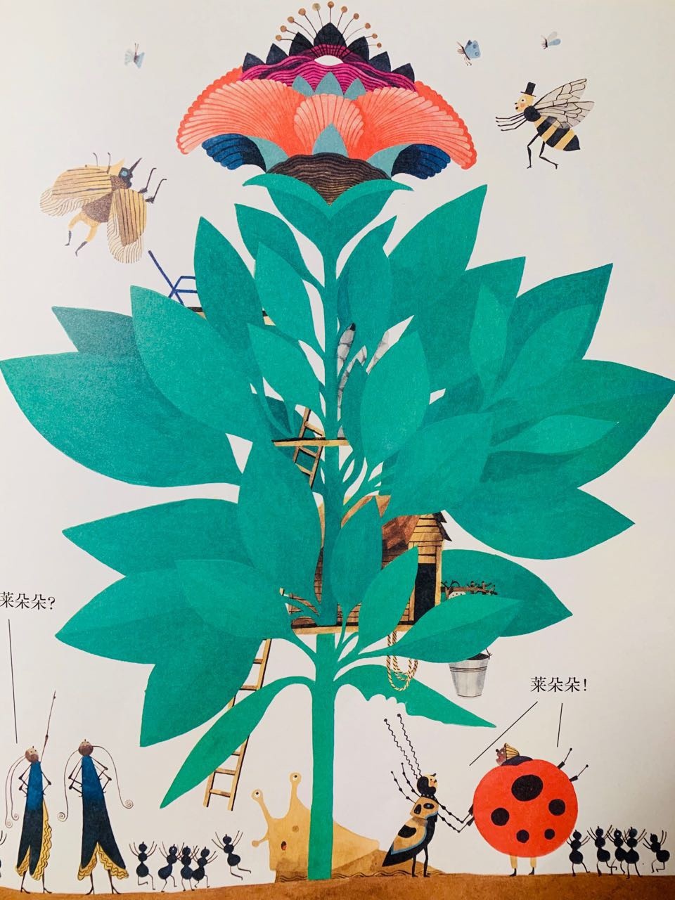 一年级绘本亲子共读视频,一年级绘本读书分享