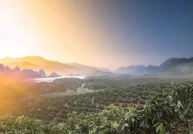 520第一次送女朋友什么礼物最用心,520送什么礼物给女友学生党