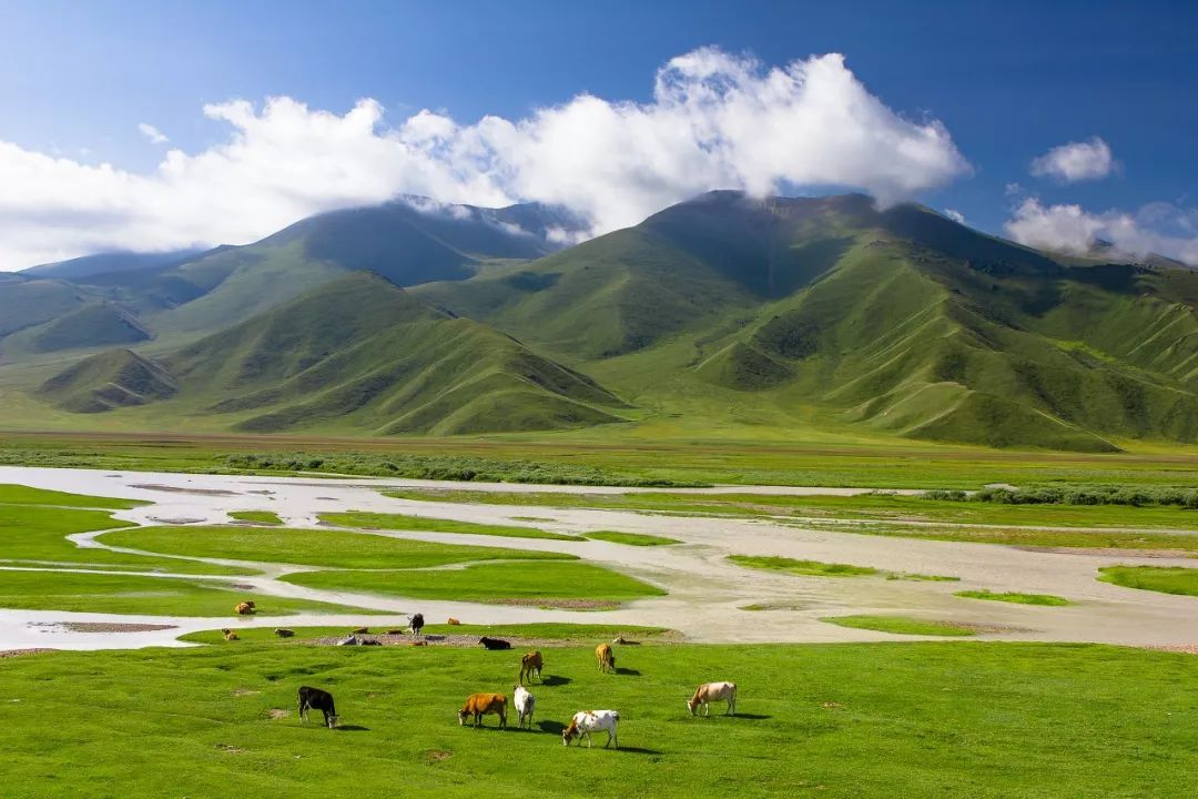 夏天的北疆美景,六月的北疆有多美