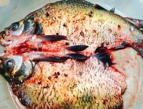 腌好的腊鱼需要洗干净再晾吗,腌腊鱼不用保鲜膜可以吗