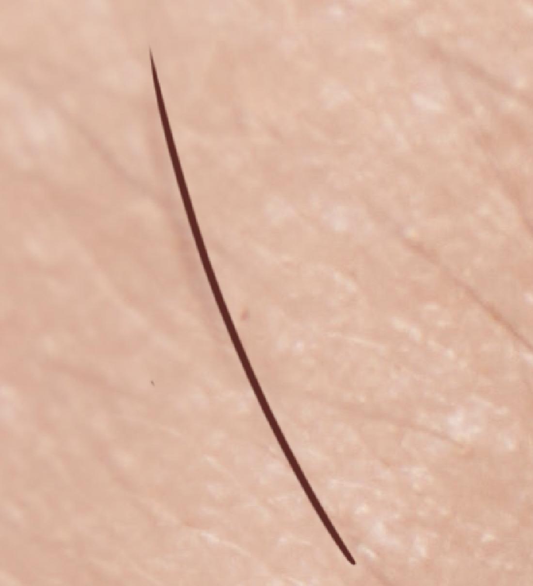 ps眉毛画笔怎么用,ps画笔教程从零开始学