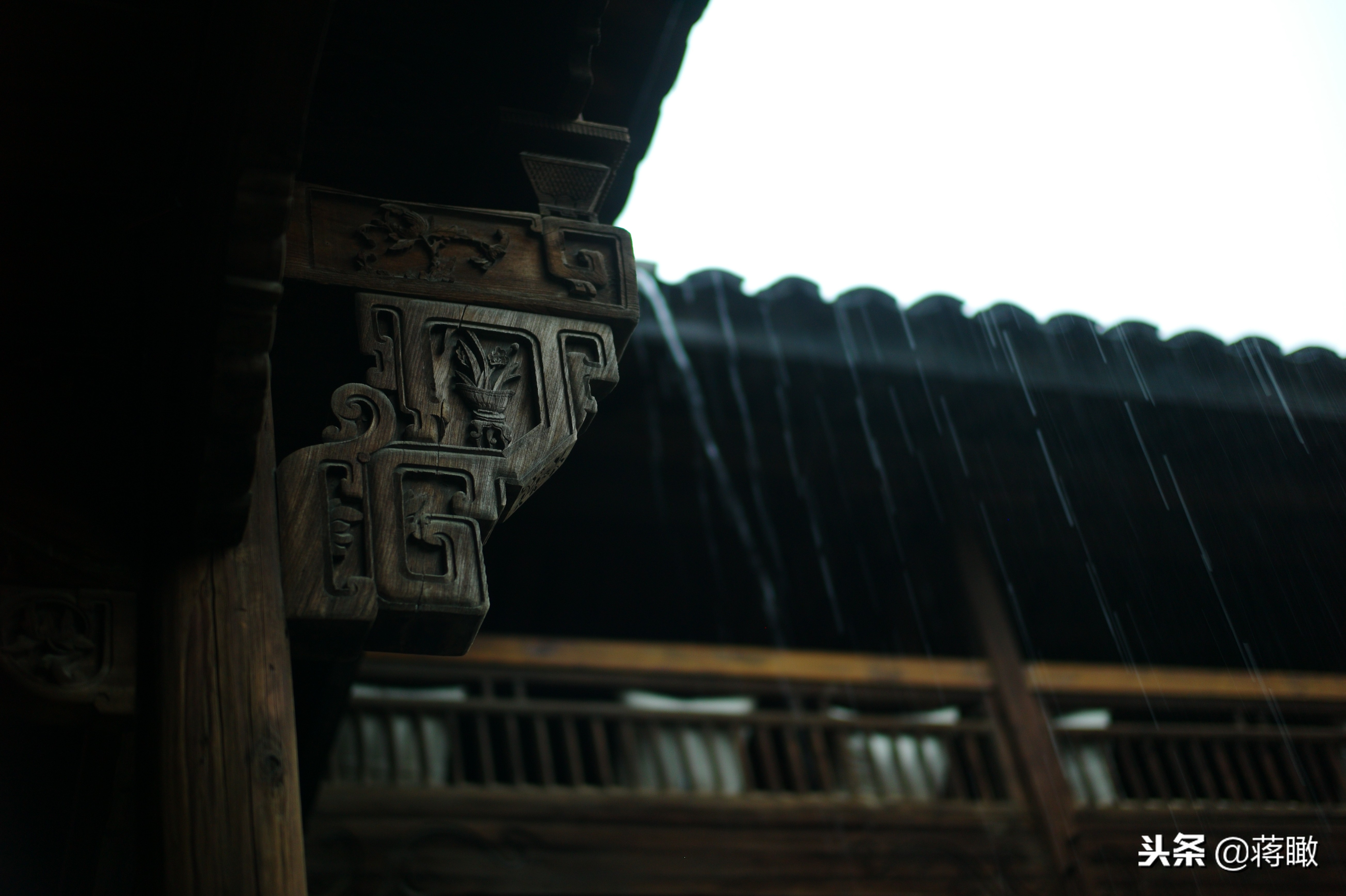 松阳,会是下一个理想国么?