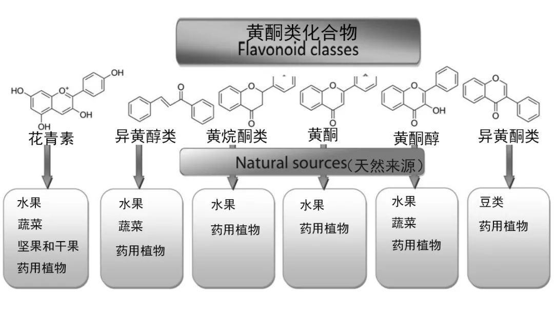 防癌多吃5种食物,抗癌健康一周食谱