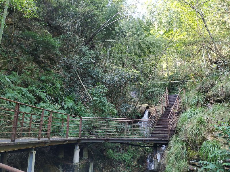 杭州周边徒步最美线路 (杭州最野的徒步路线)