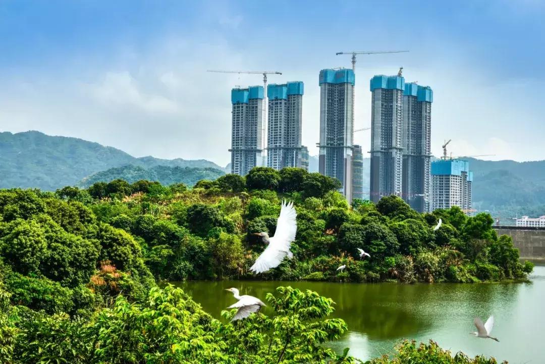 土拍最新地块,土拍市场回暖吗