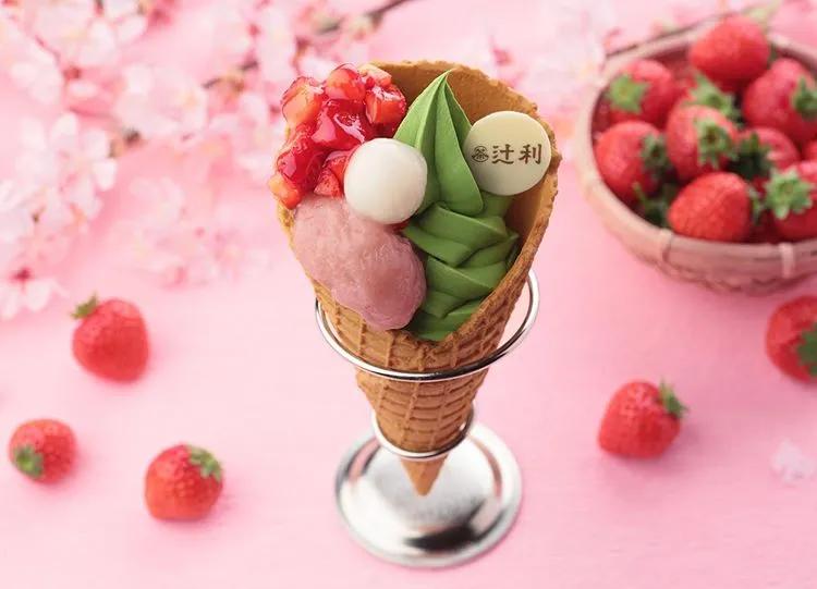 日本京都抹茶百年老店,深度解析抹茶的真相