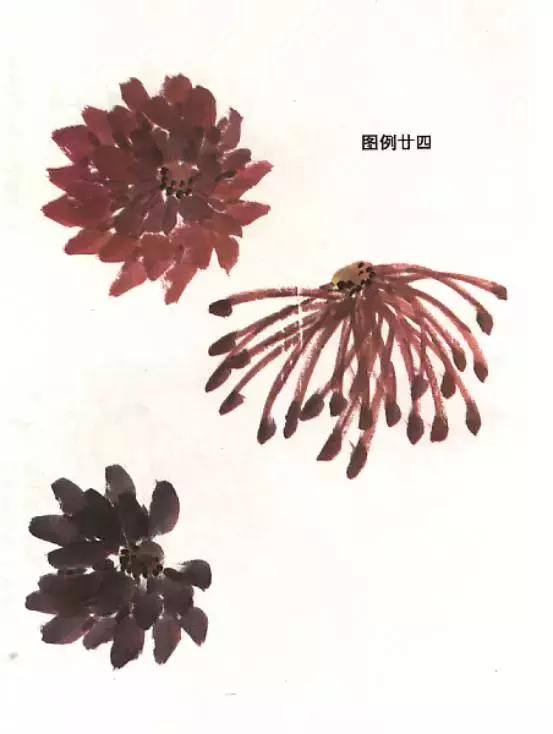菊花国画入门简单教程,国画菊花画法技法教程
