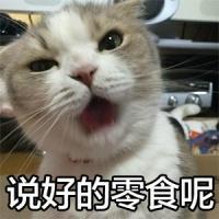 猫咪可以吃哪些植物,猫咪可以吃什么蔬菜化毛