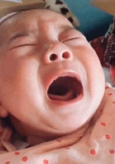 在野外发现甘蔗,在山里发现甘蔗