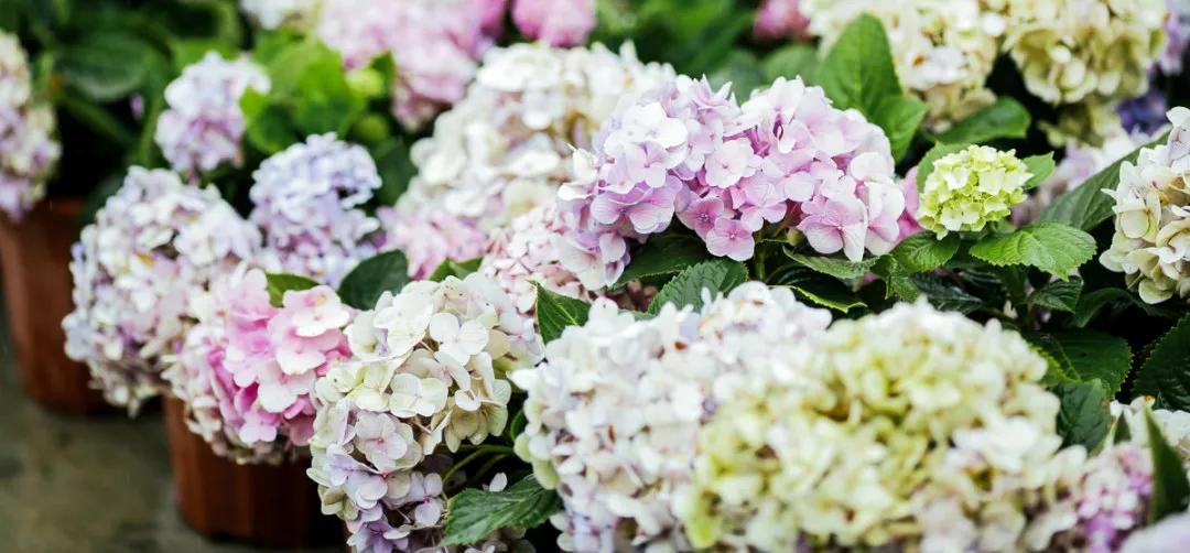 在大山深处幽静绝美的村落,深藏大山中的村落