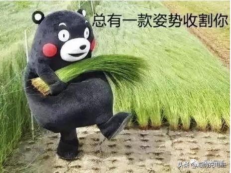 餐饮培训赚钱模式,加盟餐饮培训机构挣钱吗