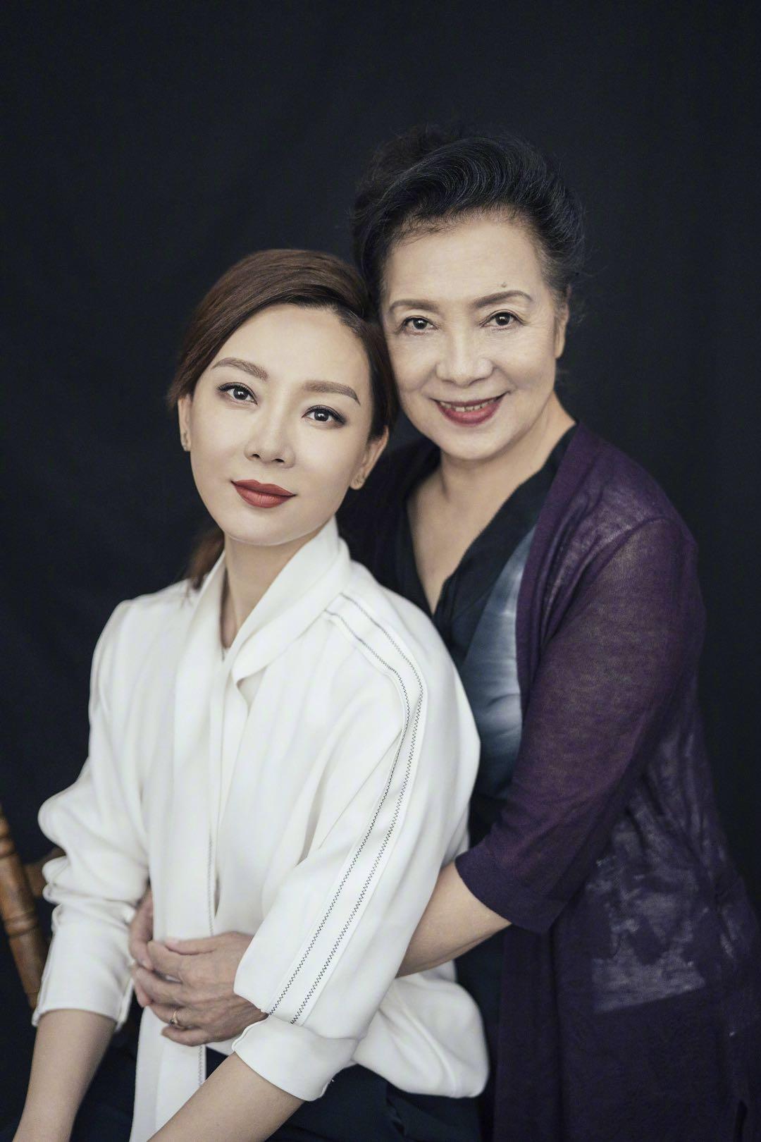 媒体评价陈数,陈数评价