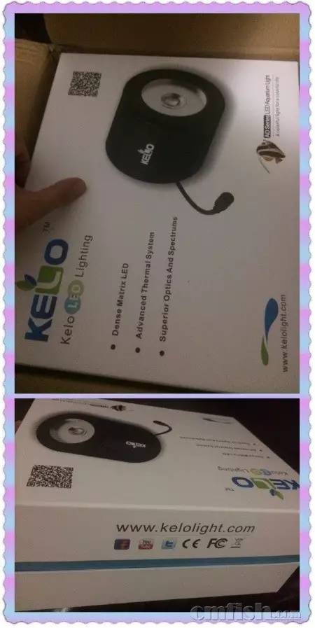 KELO钜彩照明LED水族灯试用活动鱼友评测详情（二）