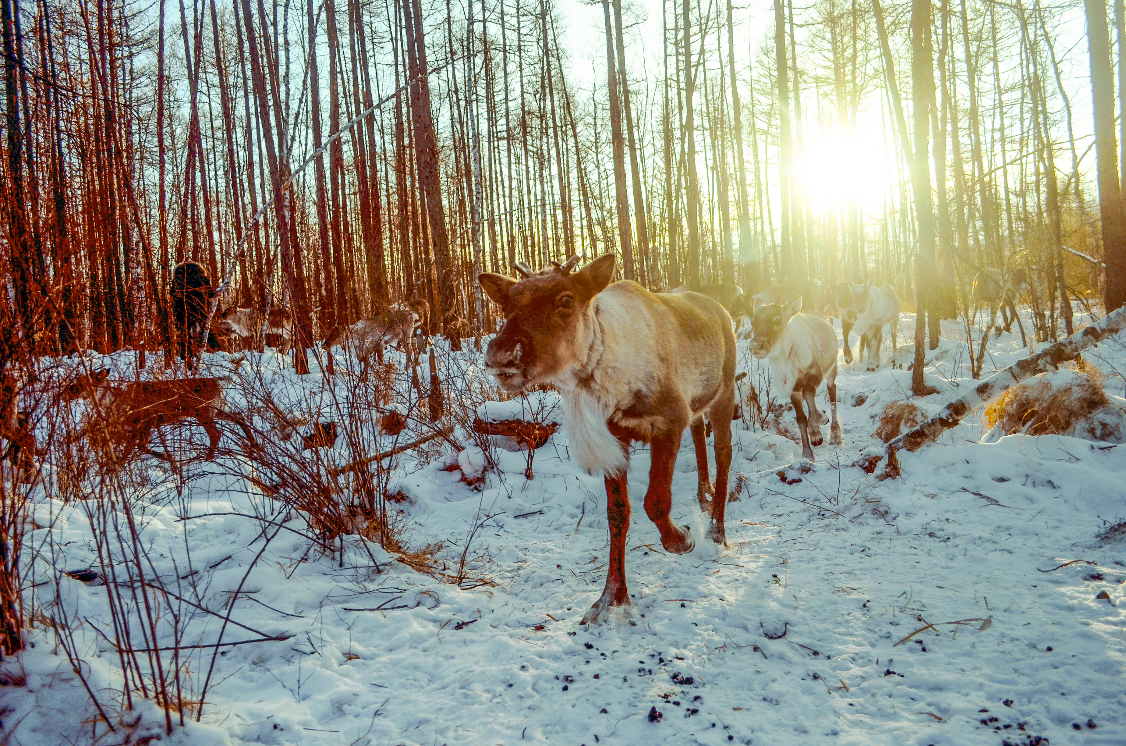 探访最冷的地方,中国最冷的地方零下80度去旅行