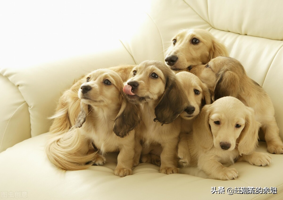 这5种东西最好不要买,不建议在网上购买的3种商品