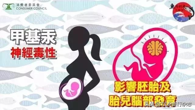 假期打卡美食推荐,假期打卡好吃的美食