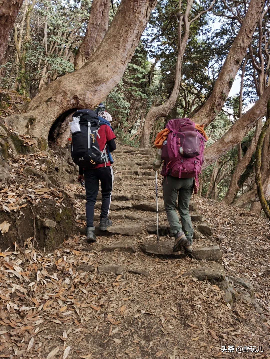 徒步abc多少公里,徒步abc攻略
