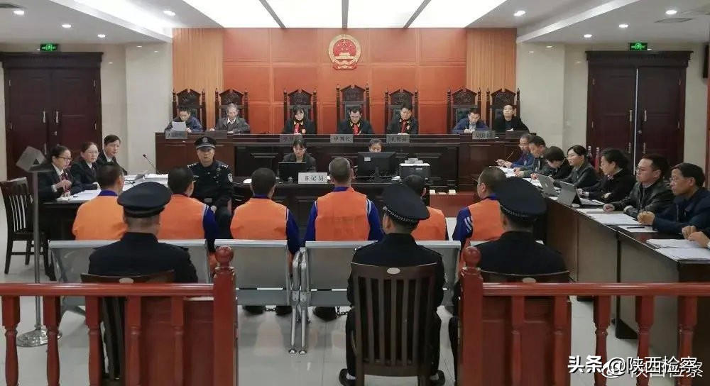 野生动物保护公益诉讼检察建议,多部门推动野生动物公益司法保护