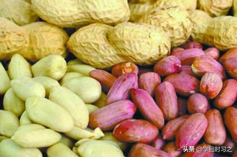 山东省公共基础知识视频,公共基础知识山东分值