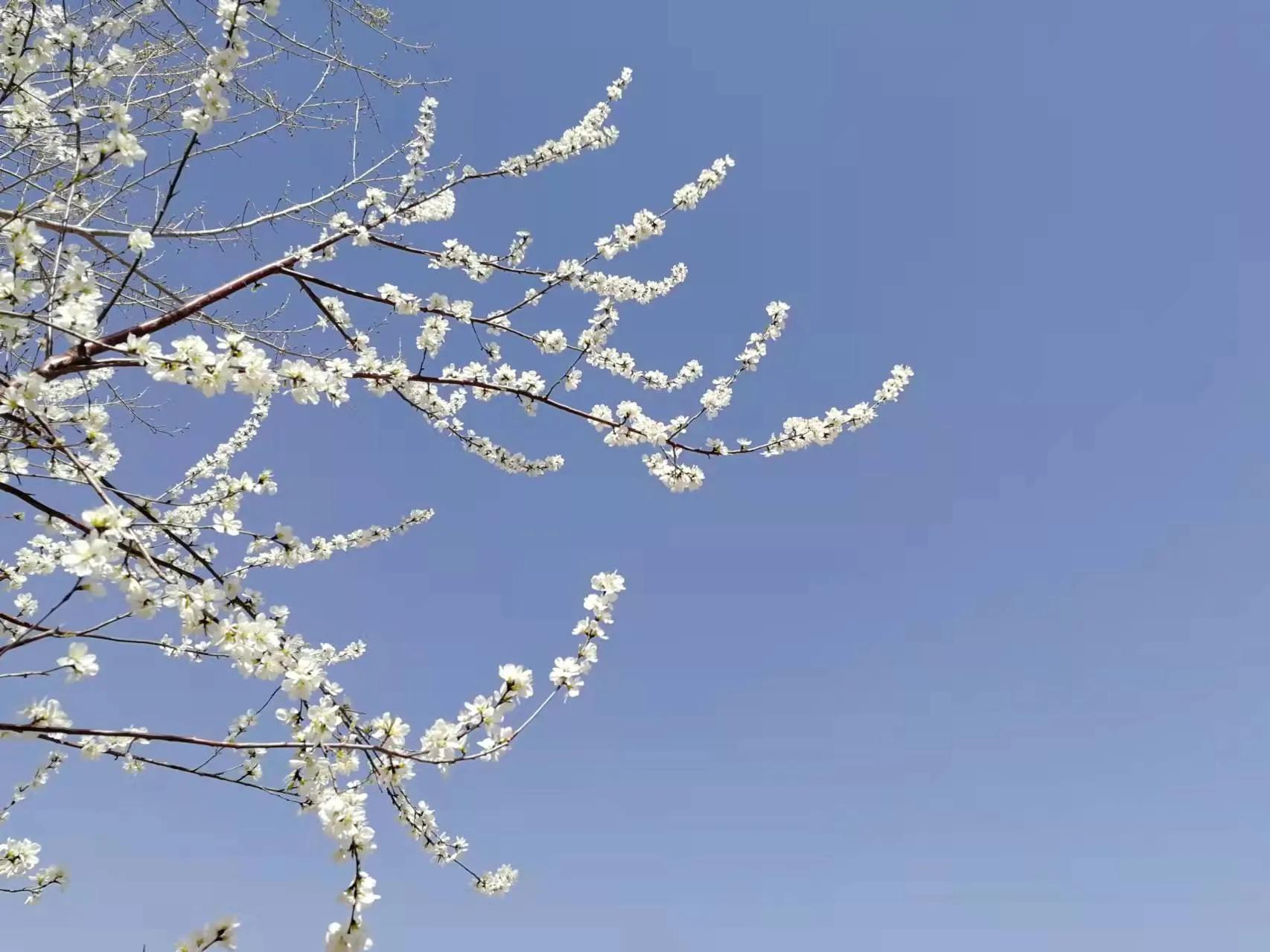 凡立事，谋于阴而取于阳——《古文观止》读书笔记（五十一）