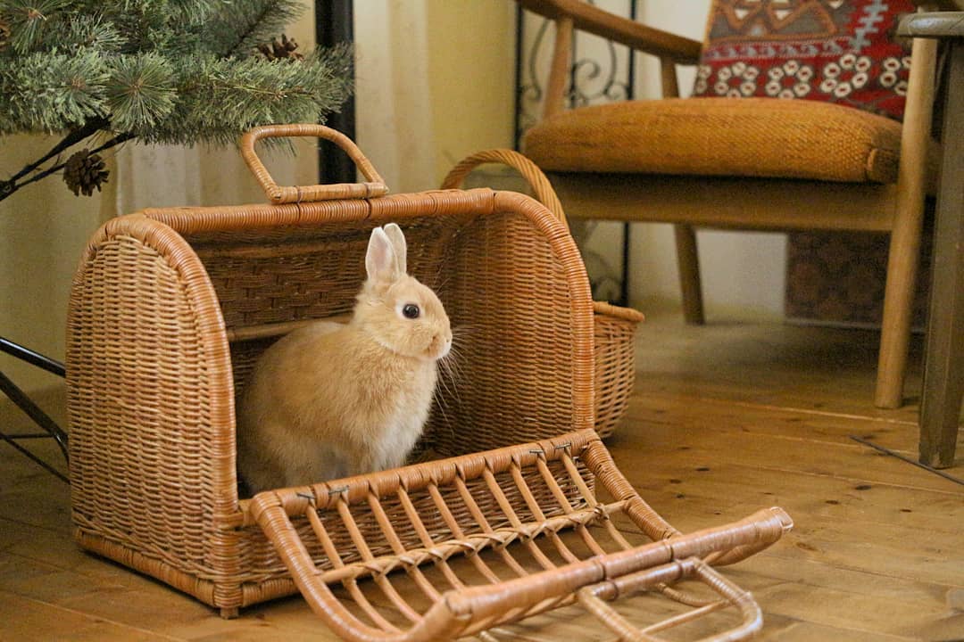 顶层带20平米左右的阁楼房子,有阁楼的挑高房子