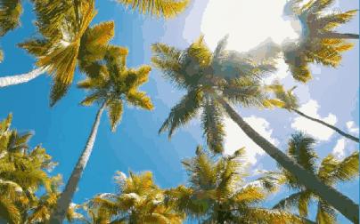 户外儿童帆板夏令营,夏令营水上乐园闯关