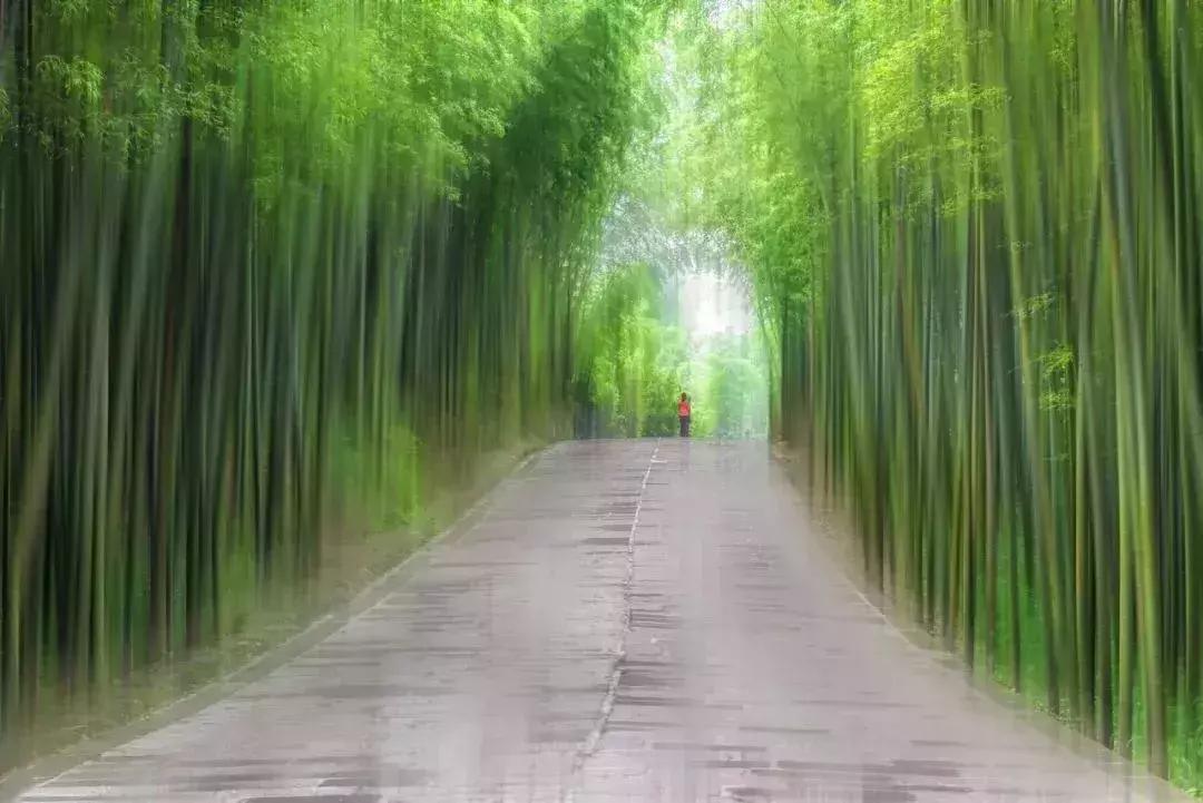 最美十首夏日诗词,收藏50首夏日古诗词带你清凉一夏