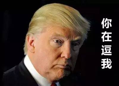 特朗普巅峰特点,特朗普的过人之处在哪里