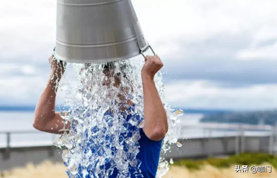 野生奶茶视频,野生奶茶和人工奶茶哪个出状态快