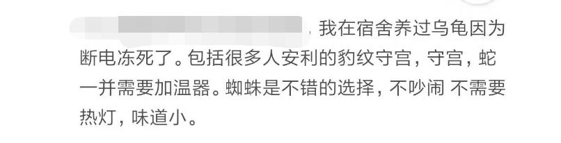 那些年舍友养过的奇葩宠物,你们身边的人都养什么奇怪的宠物