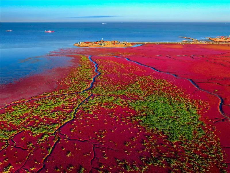 盘锦情书完整版,盘锦情书最新版