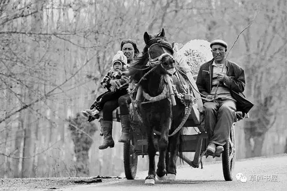 周纪朗诵,周纪合砸糍粑视频完整版