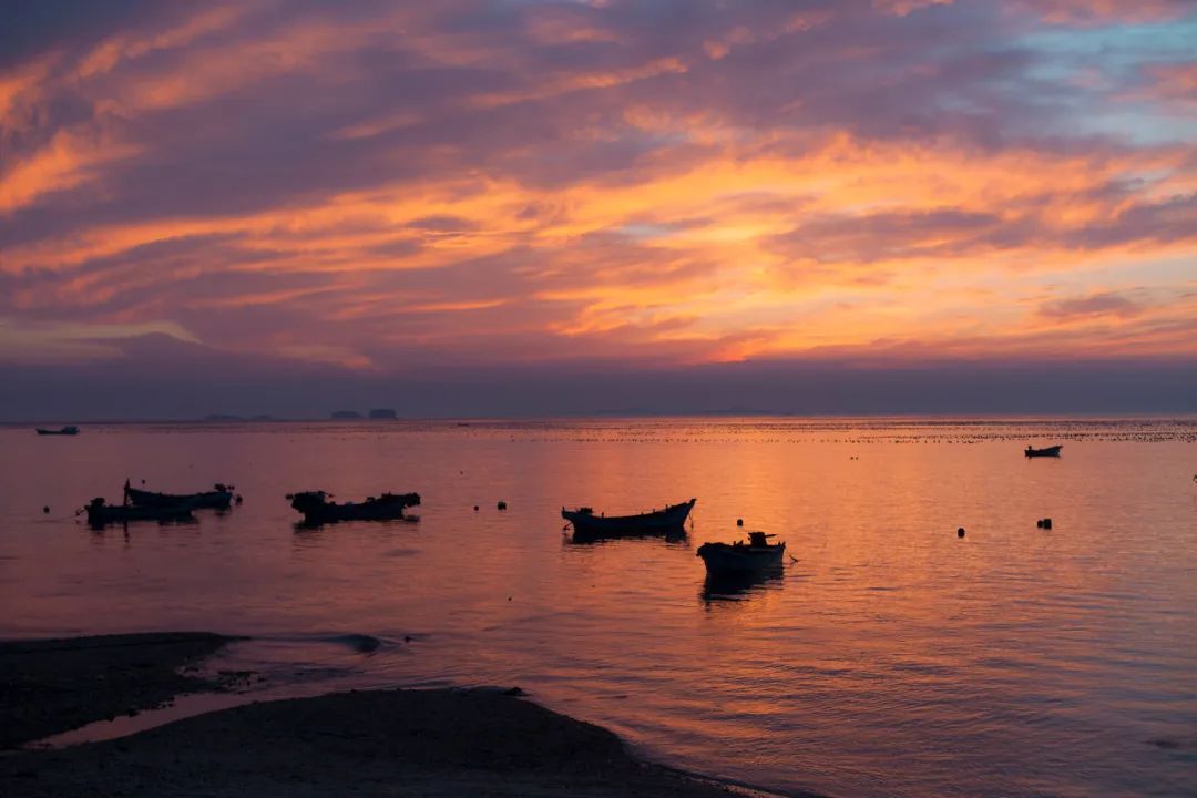 美过三亚!比厦门浪漫!中国这座海滨老城,去一次相当于环游世界