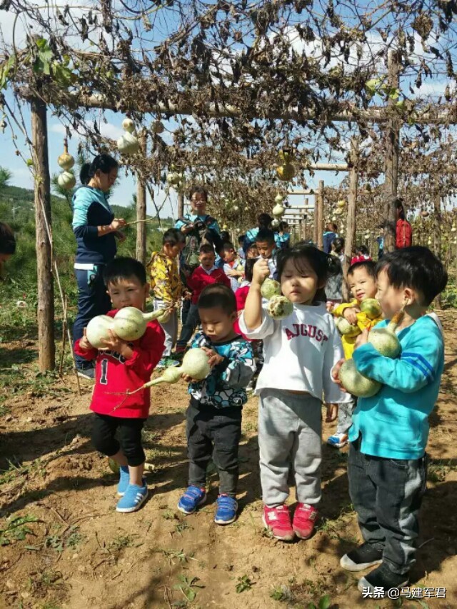 小葫芦,大梦想——葫芦王马友谊