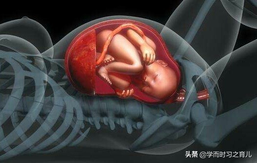 医生说孕妇宝宝腿短什么含义,孕晚期检查宝宝腿短意味着什么