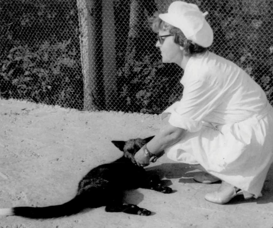 俄罗斯科学家养狐狸,俄罗斯科学家驯化银狐