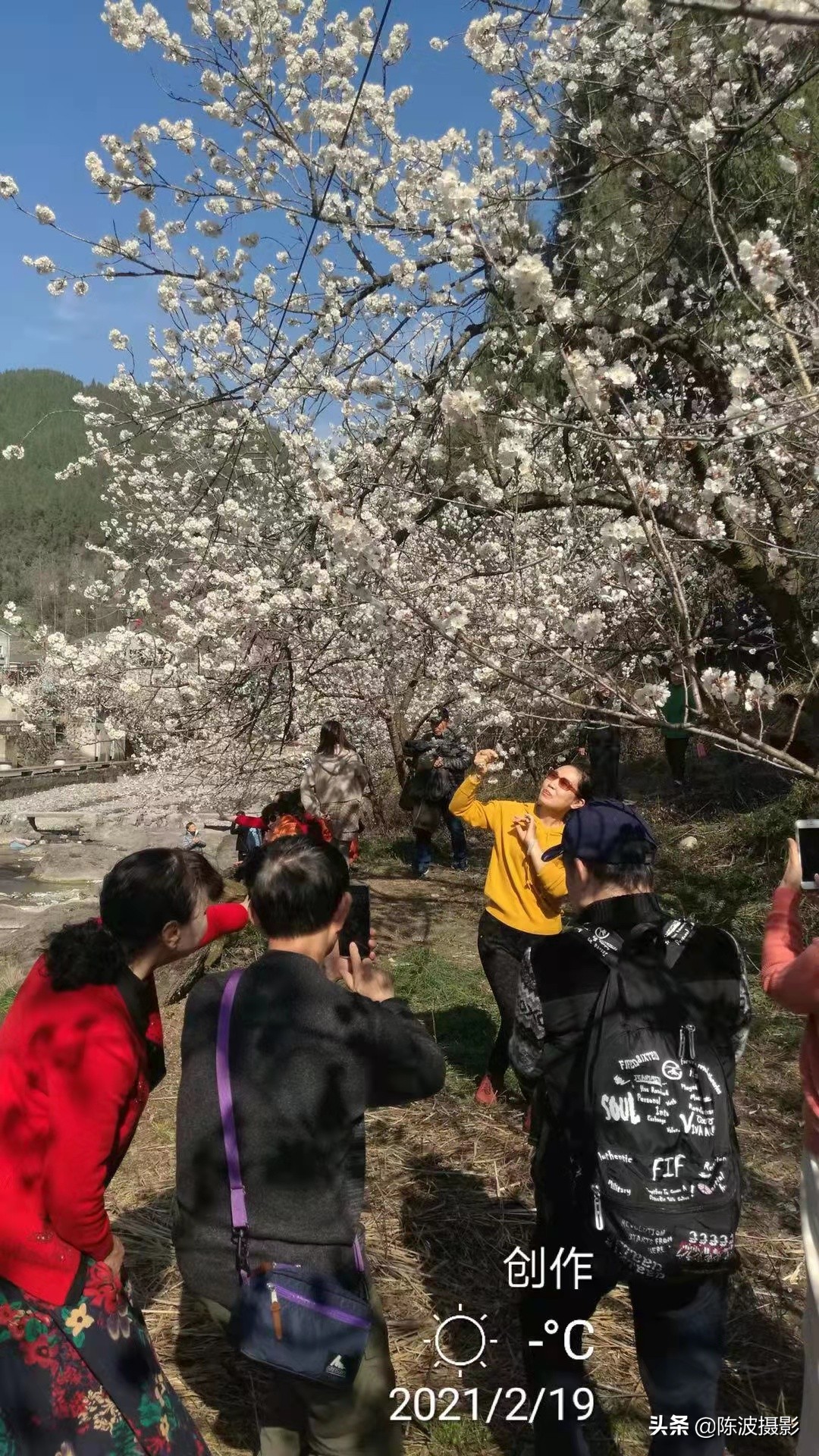 赞美湖北省三峡风景的诗词七绝,旅游三峡诗七绝
