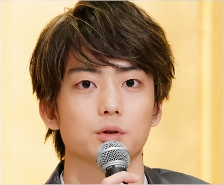 日本男明星被家暴的是谁,日本网红被家暴