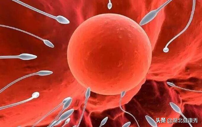 试管婴儿促排卵，只要跨过这3道坎，算是成功了一半