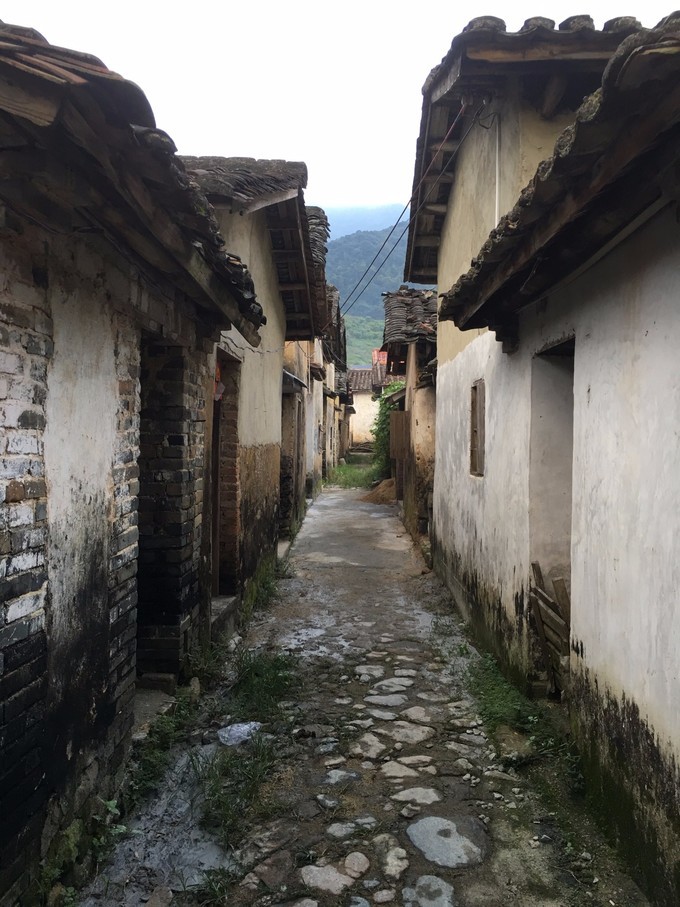 从化溪头自驾游视频,从化溪头村一日游路线