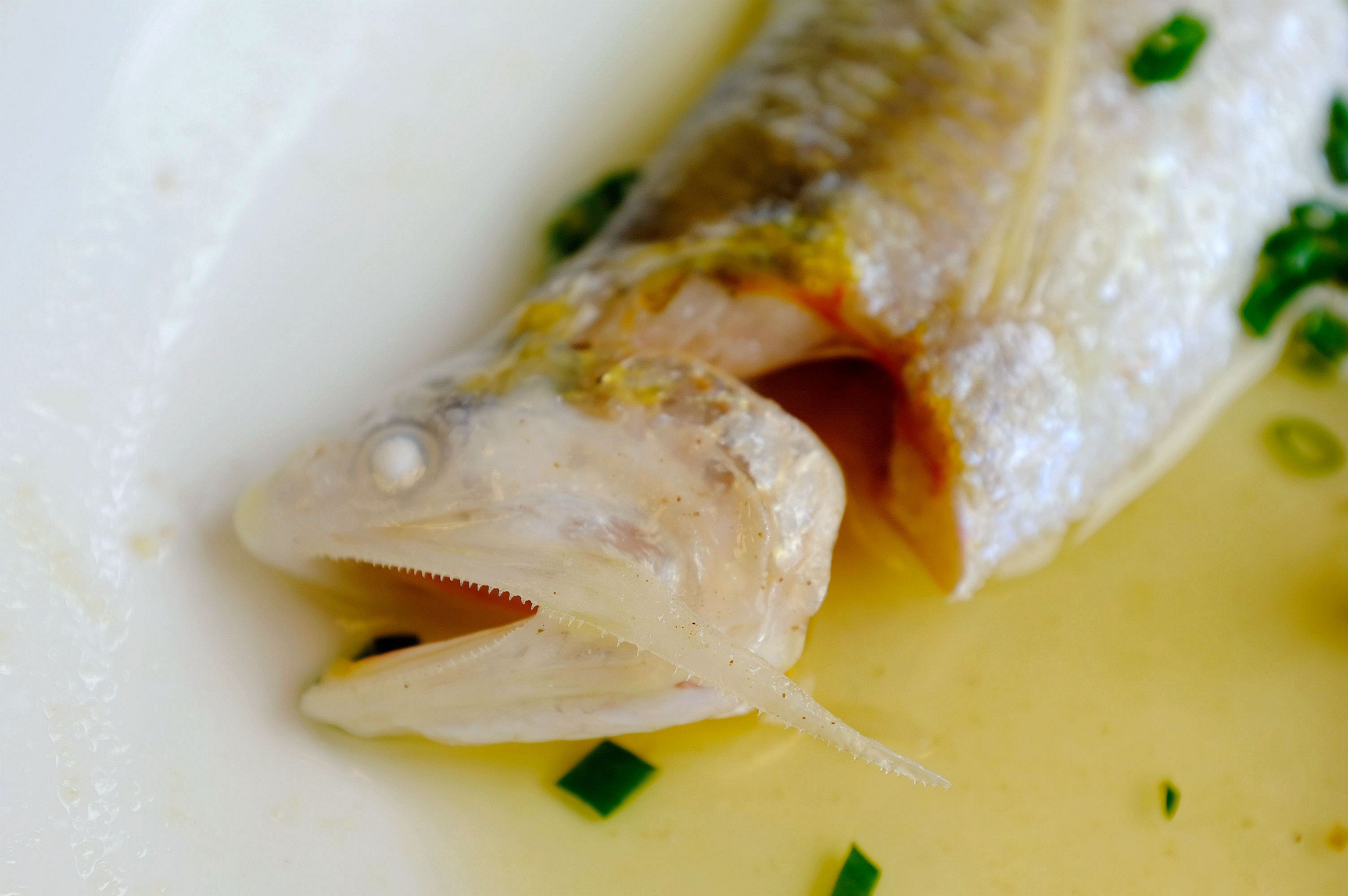 地方清明时节特色美食,清明各地方美食