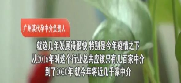 “25万出租子宫”短片被围观5.5亿次：你赚钱的样子，真丑！