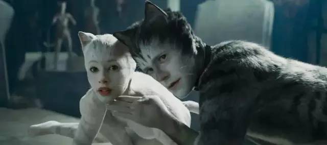 奥斯卡2020获奖名单,奥斯卡2020入围名单