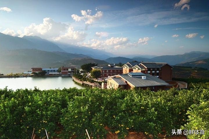 原红塔山董事长褚时健的传奇故事,烟草大王褚时健的资料