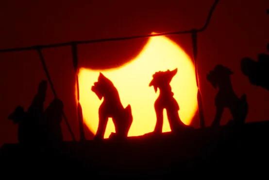 反者道之动：正话反说与正话反听