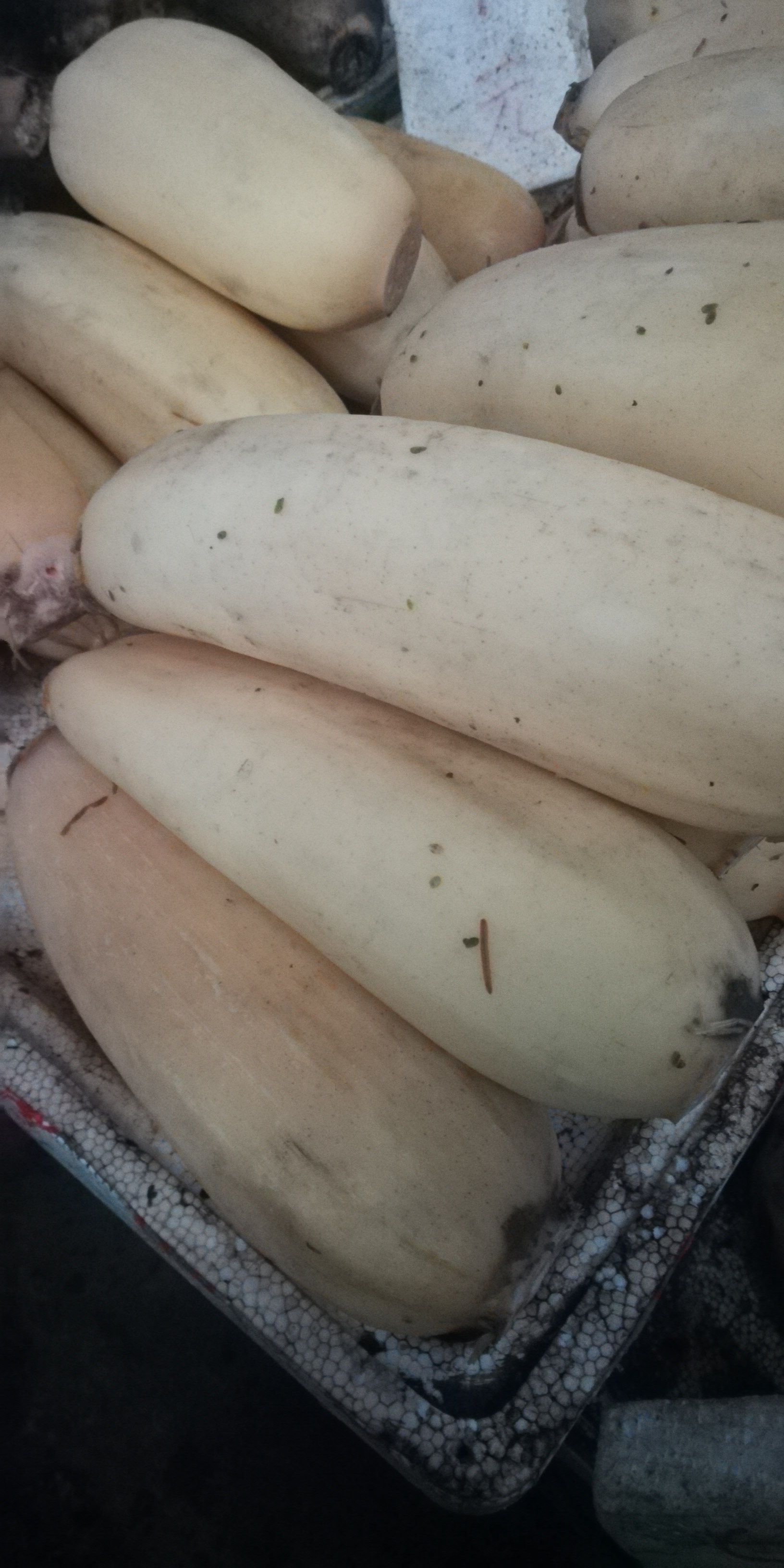 怎样挑选莲藕才能挑得好,莲藕是怎么选的