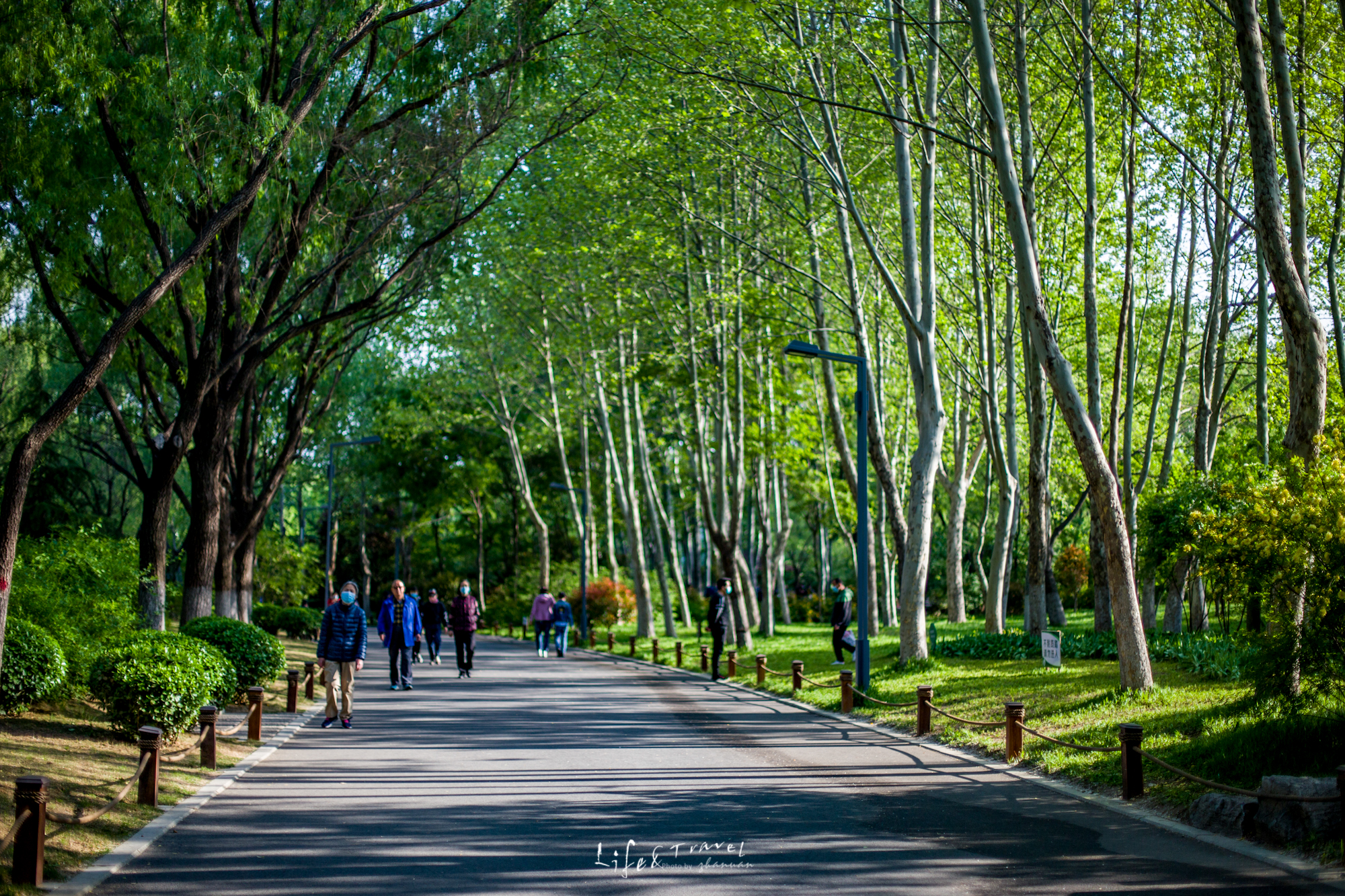 济南适合去的花海公园,济南春季公园有哪些景点