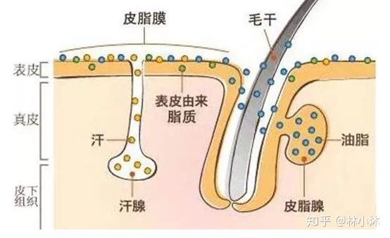 孕妇用品骗局曝光,孕期用品骗局