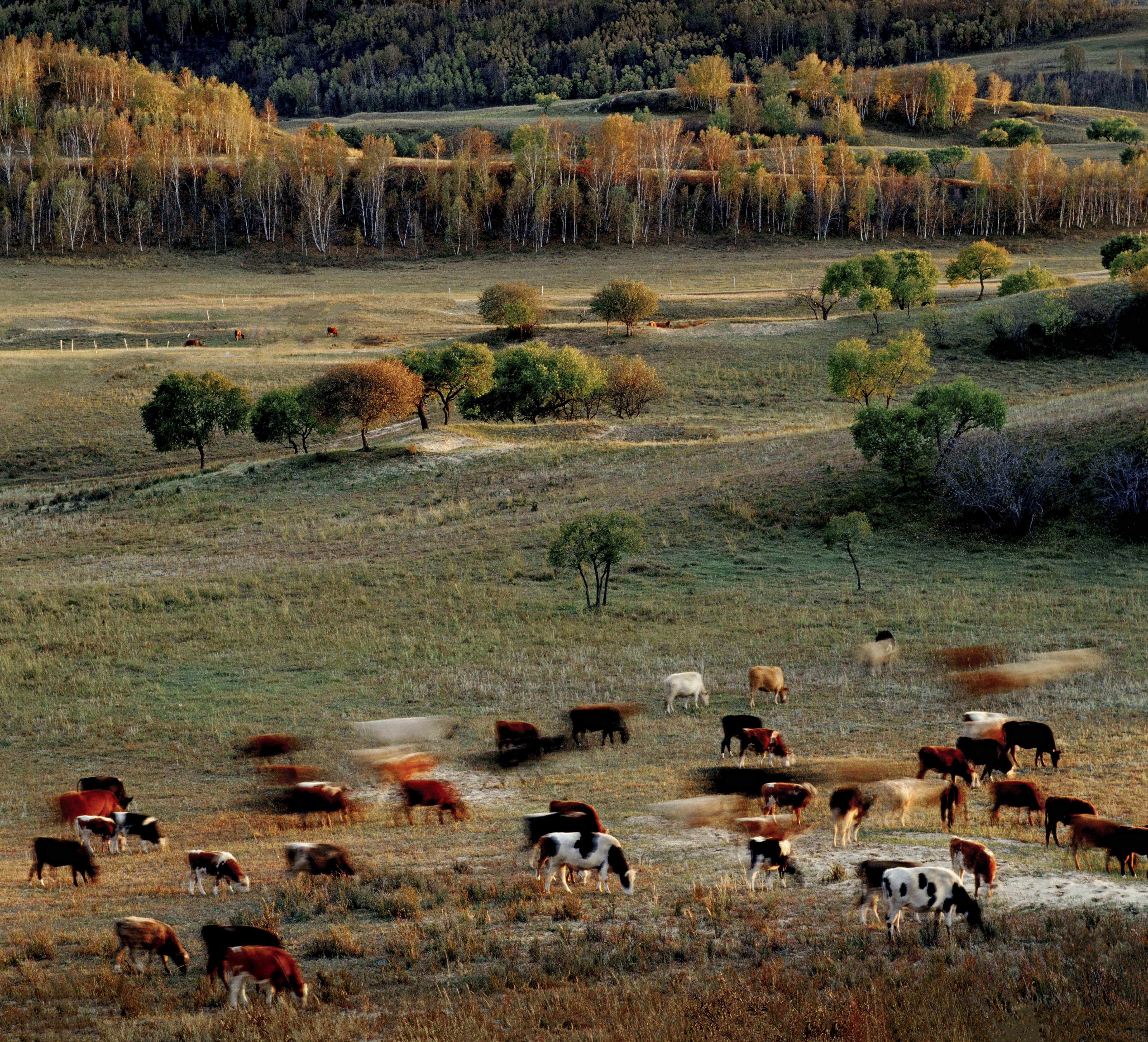 大美坝上草原全景,大美坝上风光系列之一