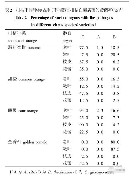 果农说，关于白癞病，走了太多弯路！总结全套方案分享，解决疑点